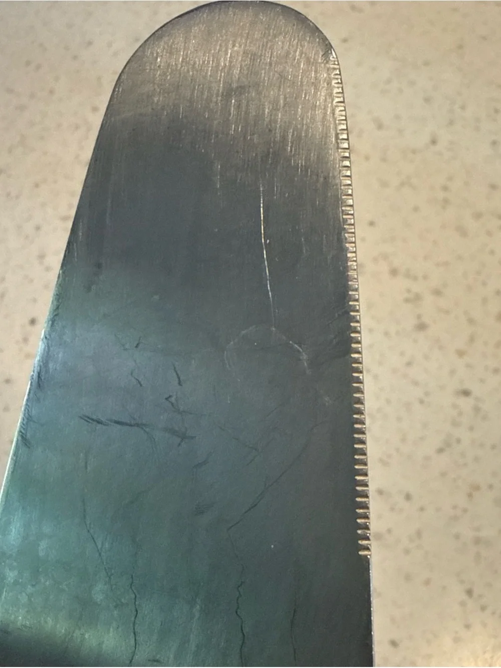 Stainless Steel Pie / Cake Server With Serrated Edge